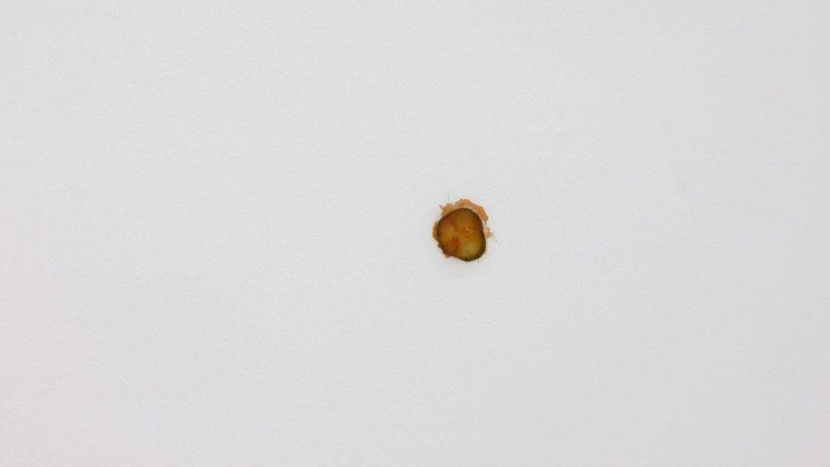 Огурец приклеенный к потолку