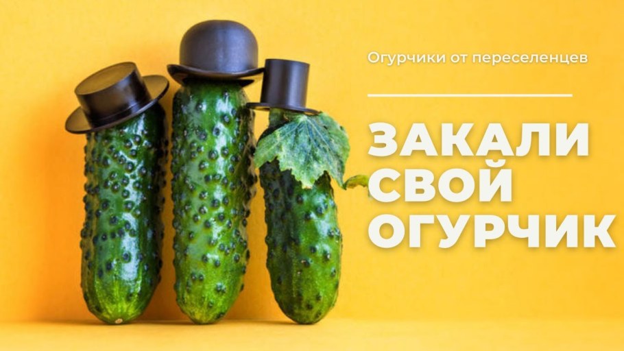 Рассол и арахис мультсериал