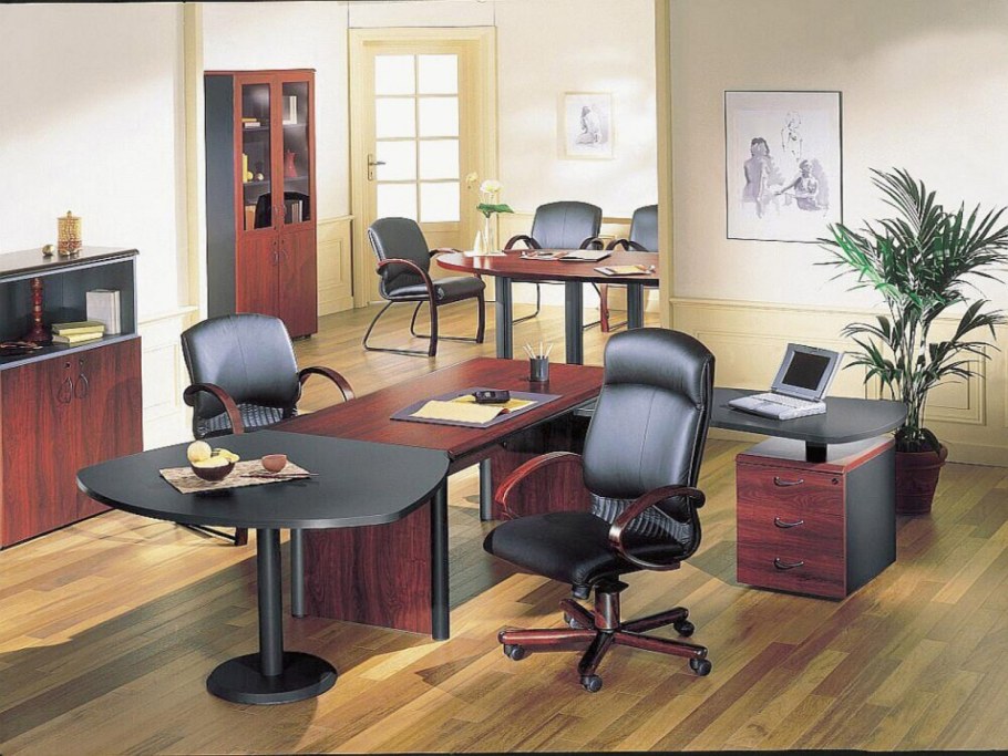 Цветы в кабинете руководителя