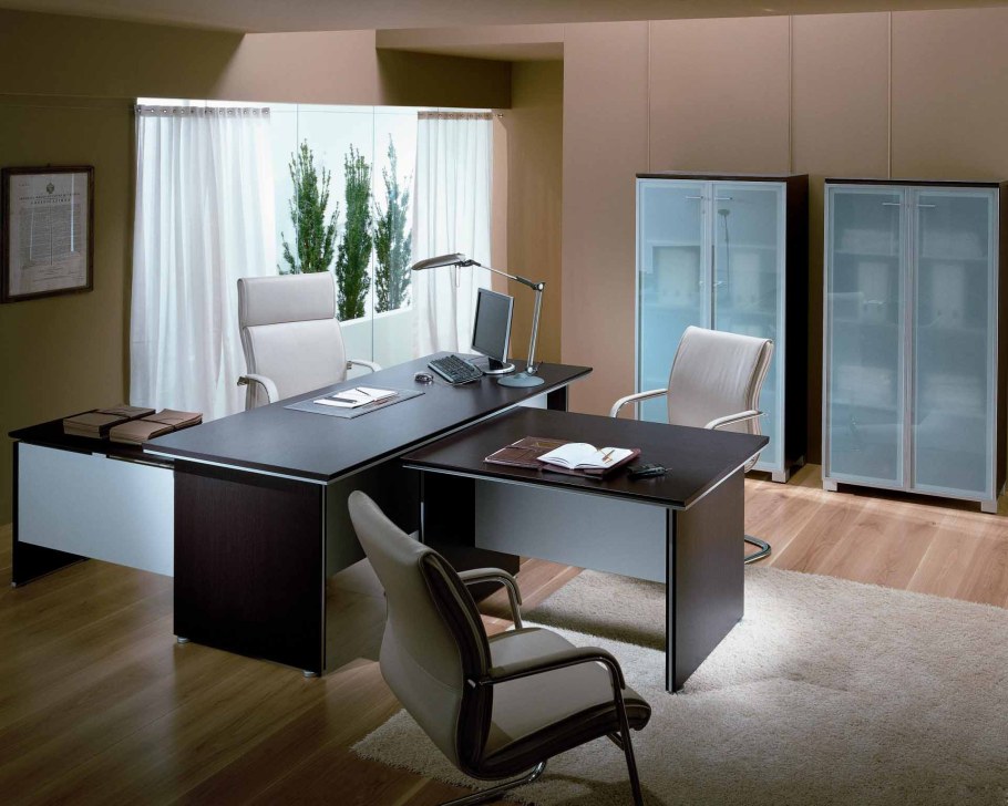 Кабинет бизнес леди