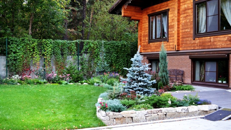 Новогодняя ель в ландшафте