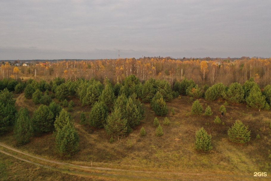 Карповские дачи Тверская