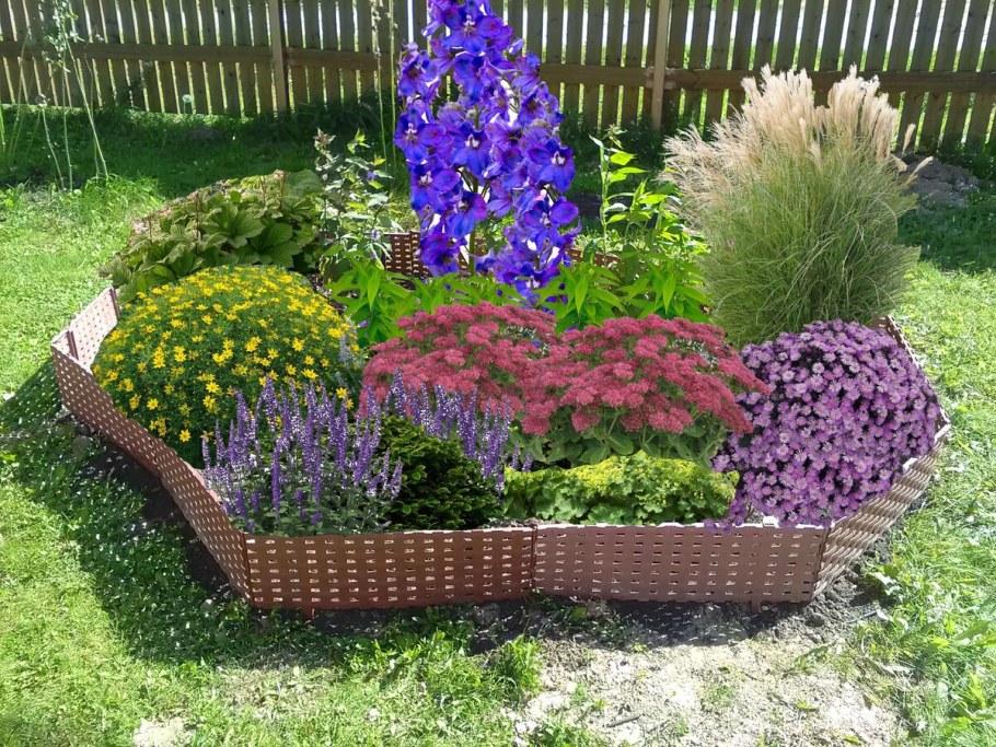 Клумбы миксбордеры непрерывного цветения