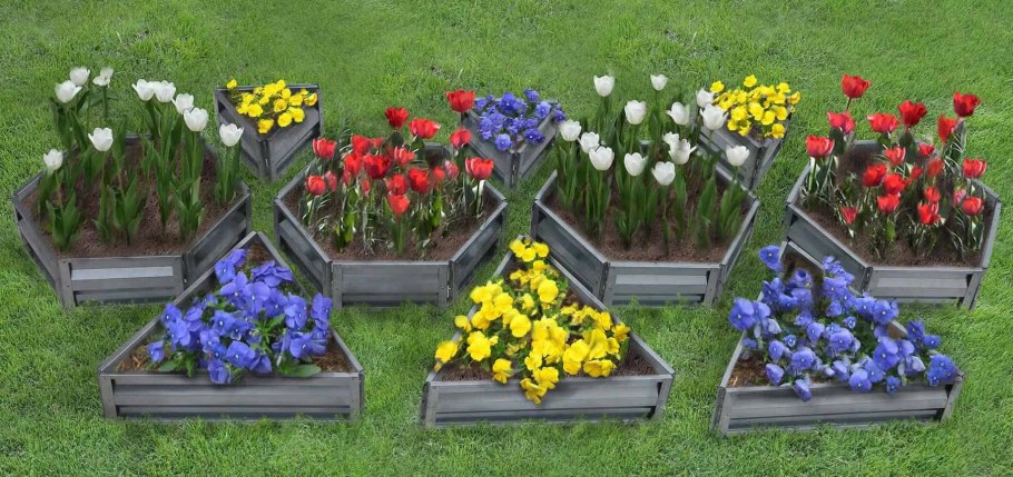 Альпинарий и рокарий