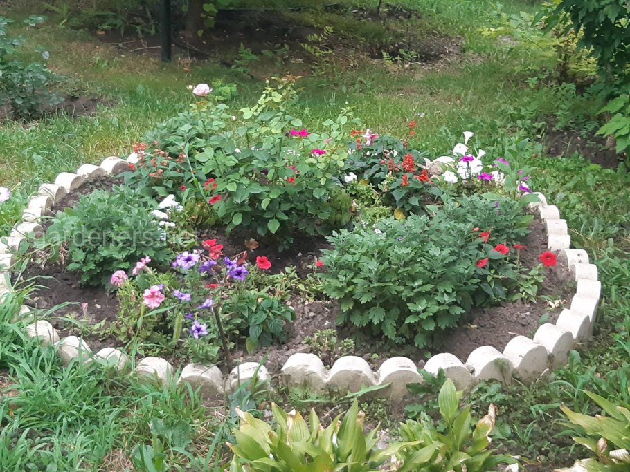 Интересные клумбы для цветов