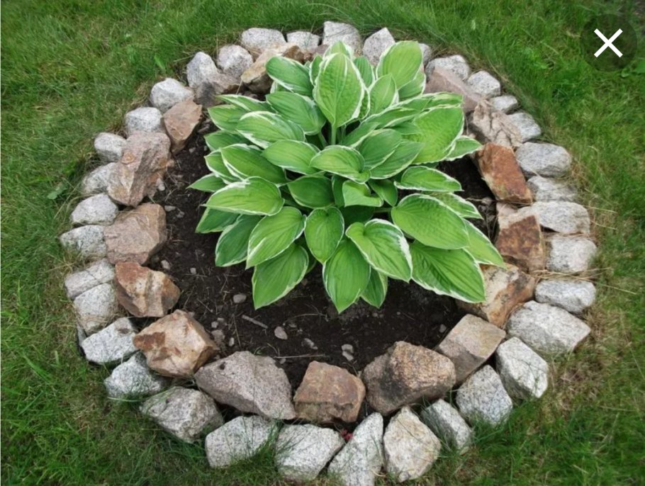 Клумбы из подручных материалов