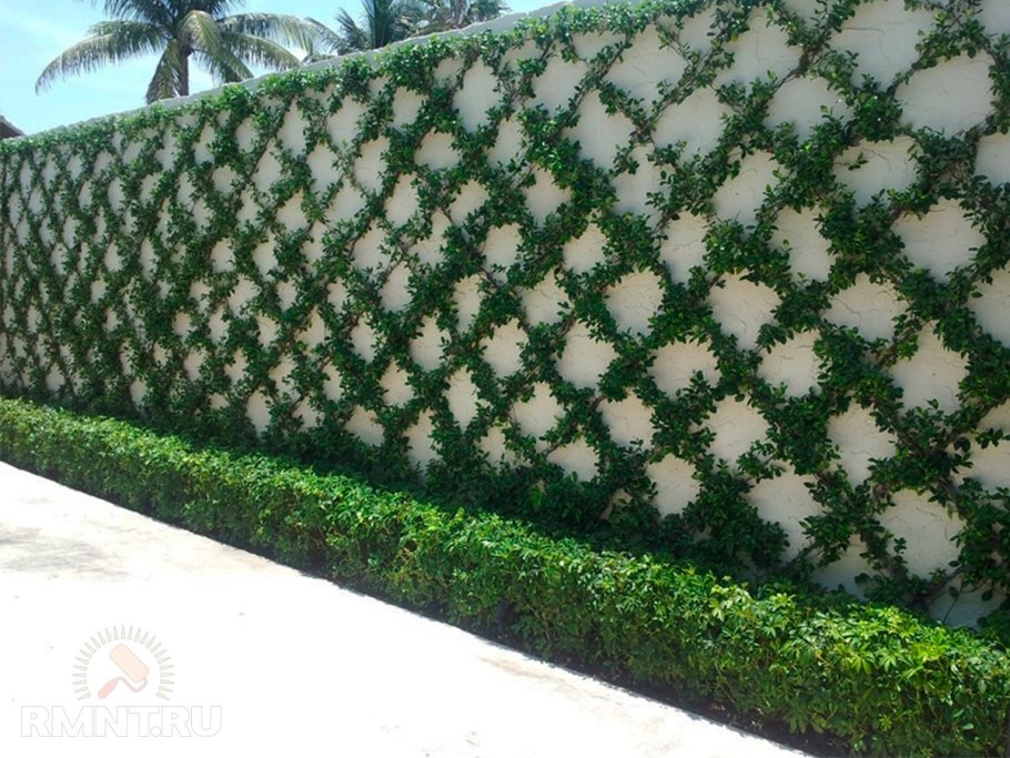 Стальная сетка для забора