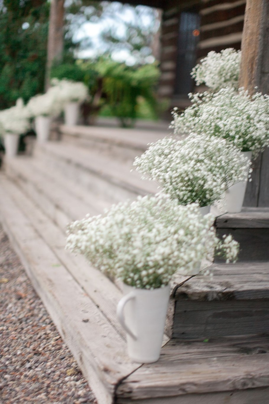 Гипсофила метельчатая махровая в ландшафте