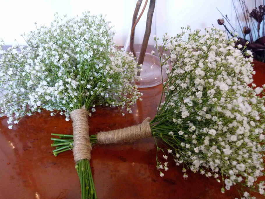 Гипсофила Муралис