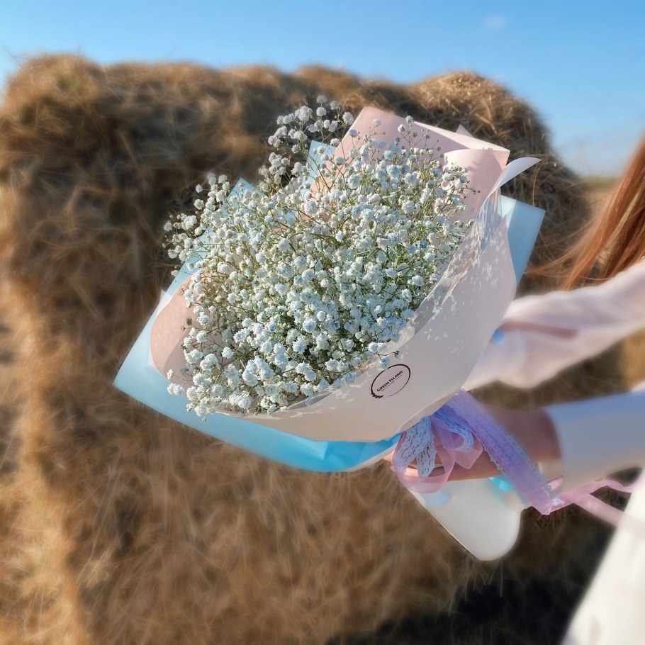 Гипсофила метельчатая Роуз