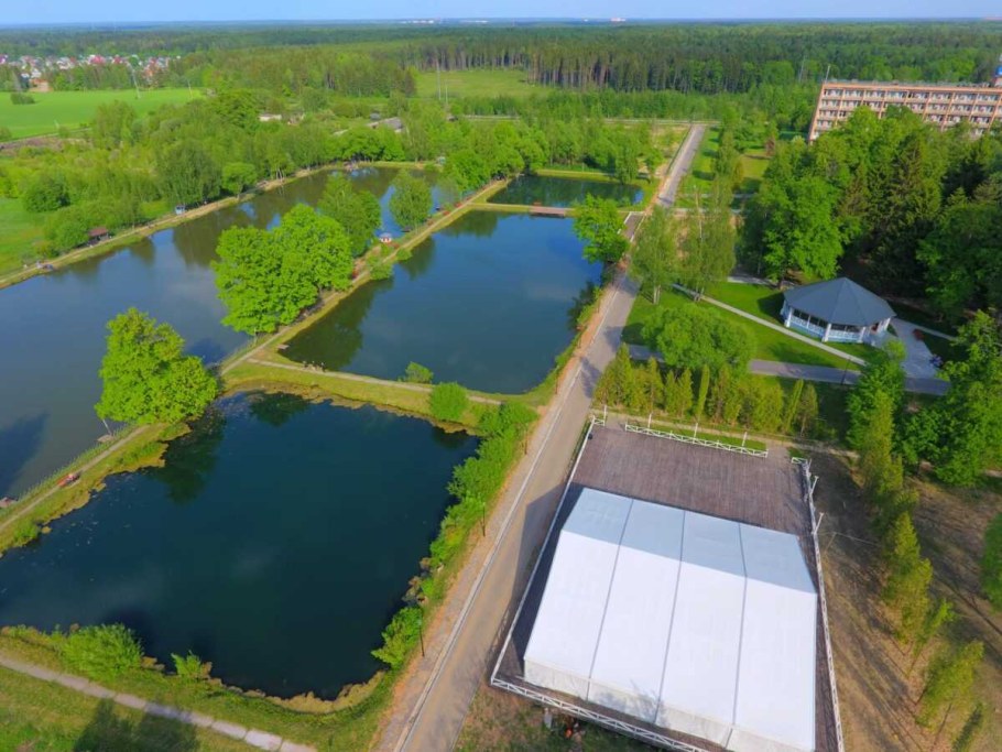 Доброград парк отель открытый бассейн