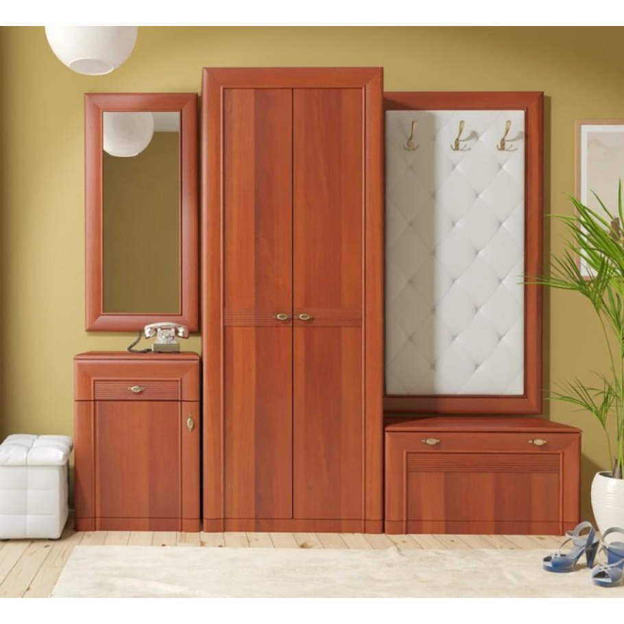 Шкаф в прихожую с распашными дверями