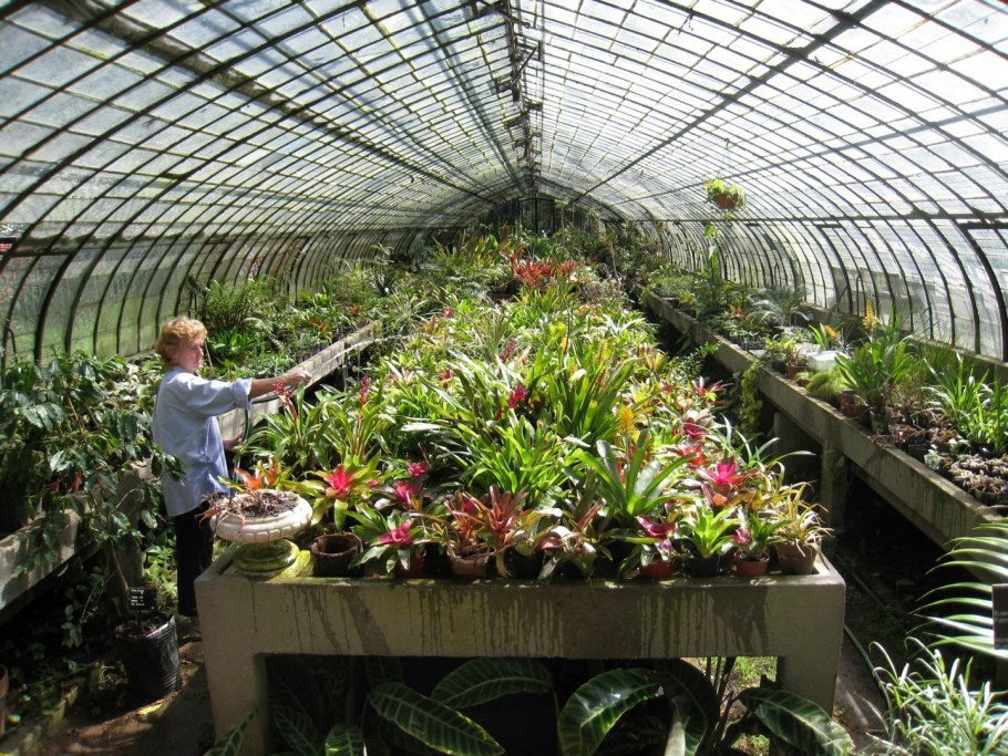 Теплица Greenhouse
