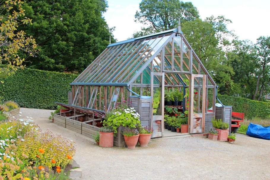 Стеклянные теплицы на участке