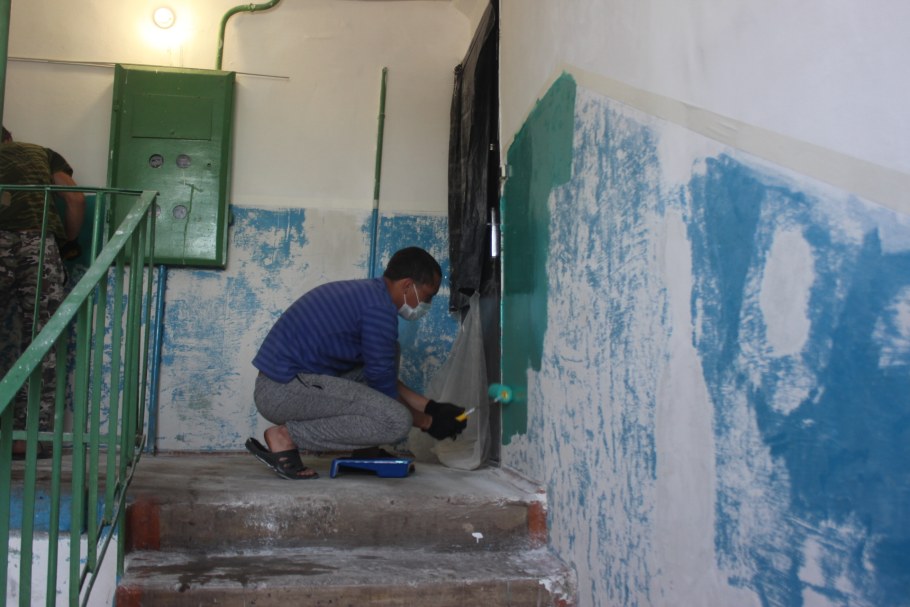 Цвет стен в подъезде