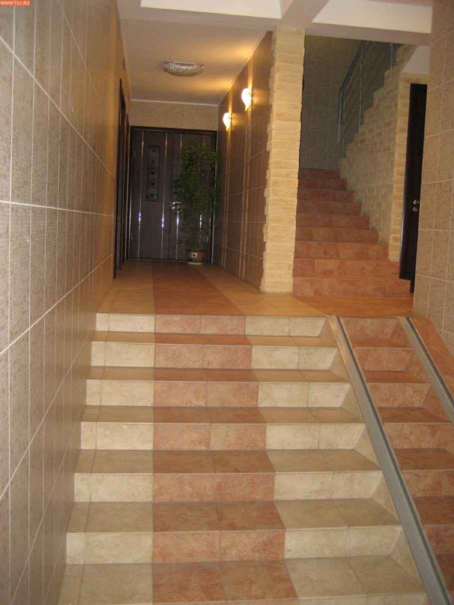 Страшное существо в подъезде