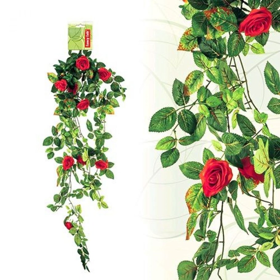 Ампельная роза