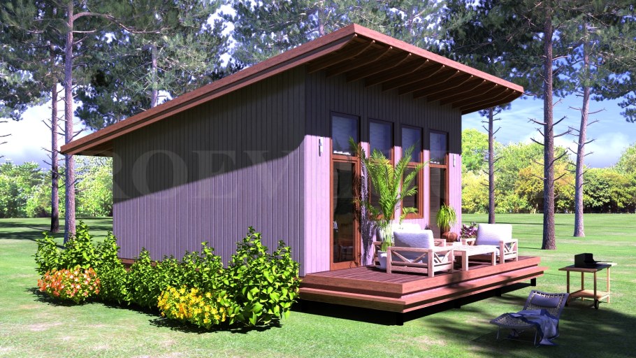 Tiny House с односкатной крышей проект