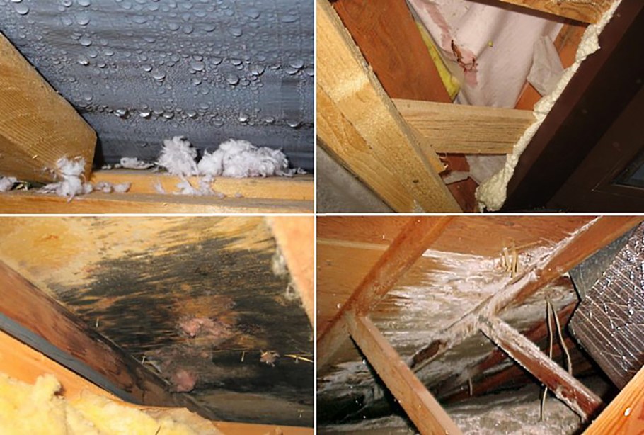 Предписание по уборке мусора