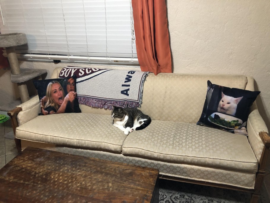 Мемы про диван