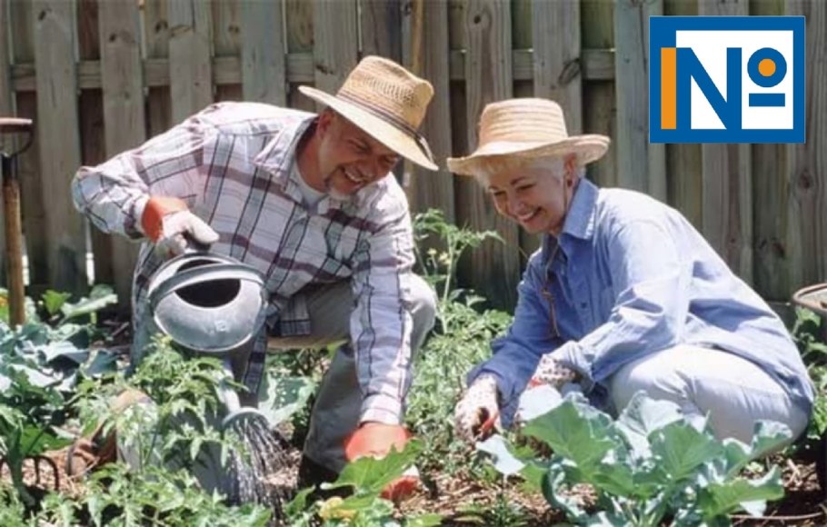 Пенсионеры в саду