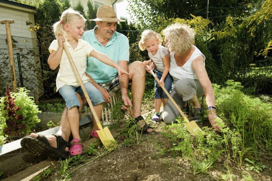 Пенсионеры в саду