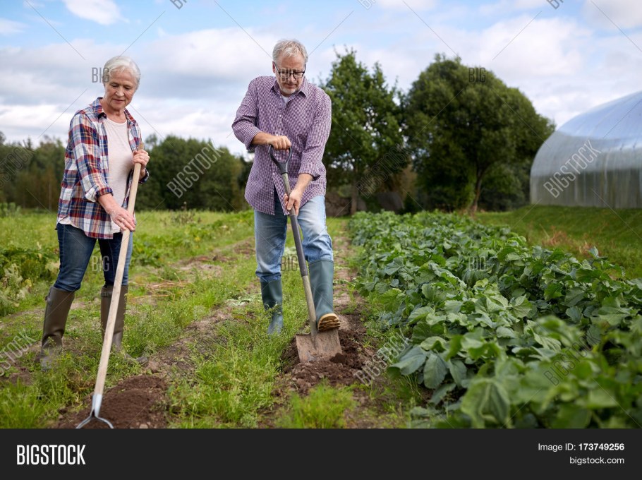 Пожилые люди в саду