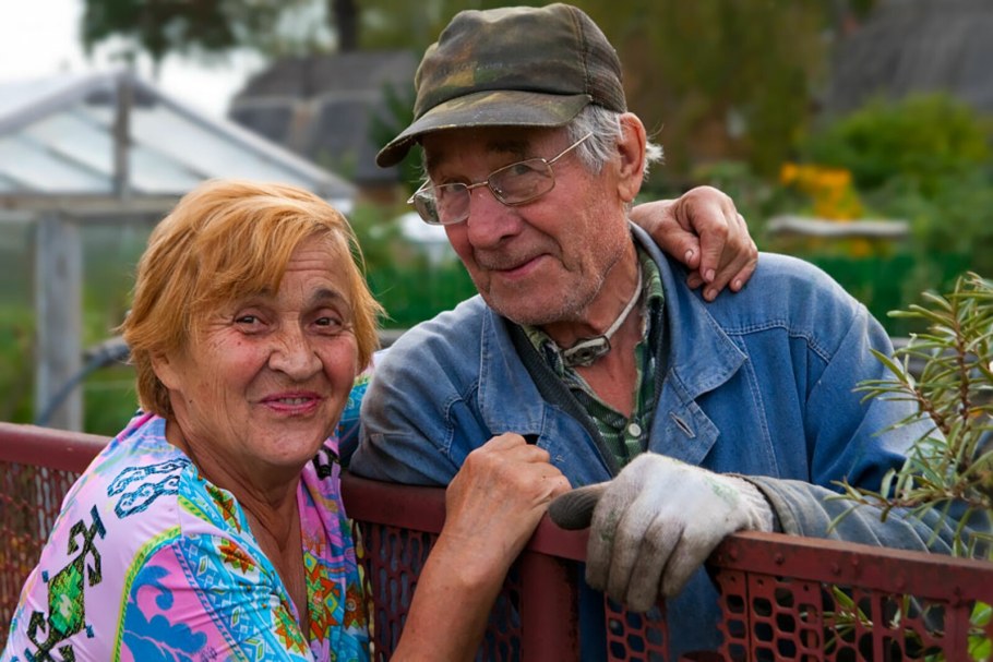 Пенсионеры на даче