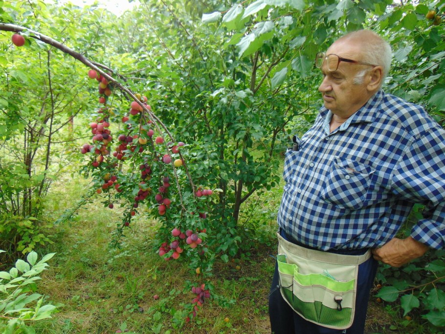 Бабушка и дедушка на природе