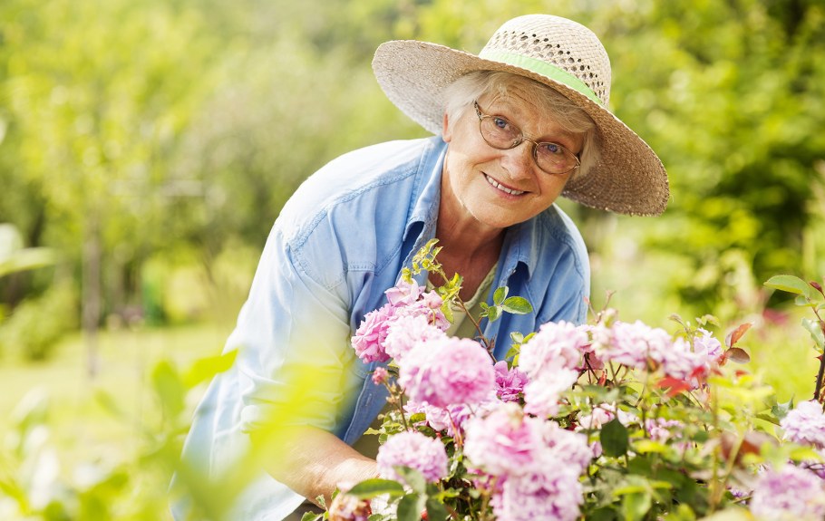 Бабушка продает овощи