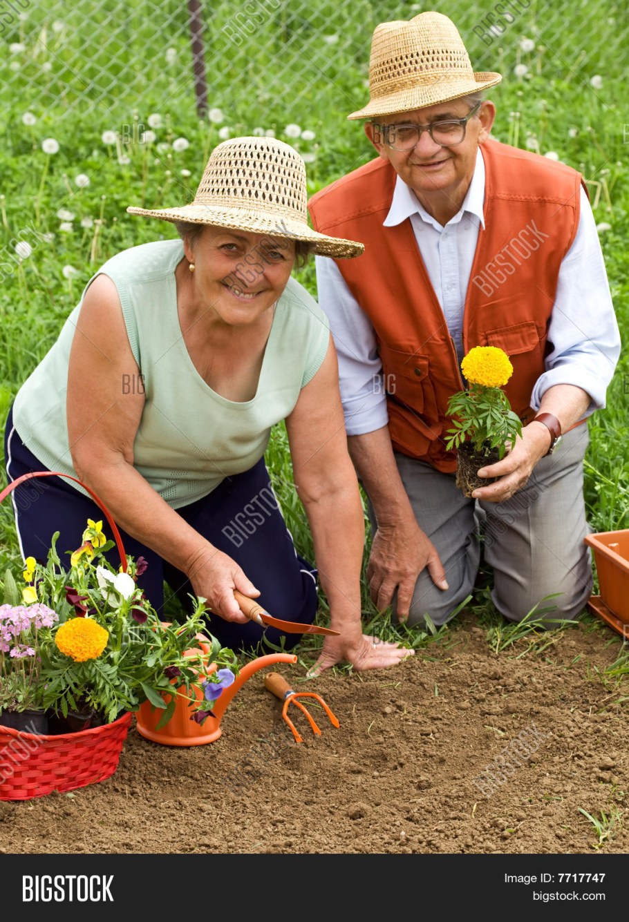 Пенсионеры на даче