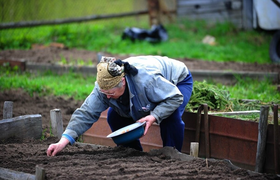 Дачники на грядках