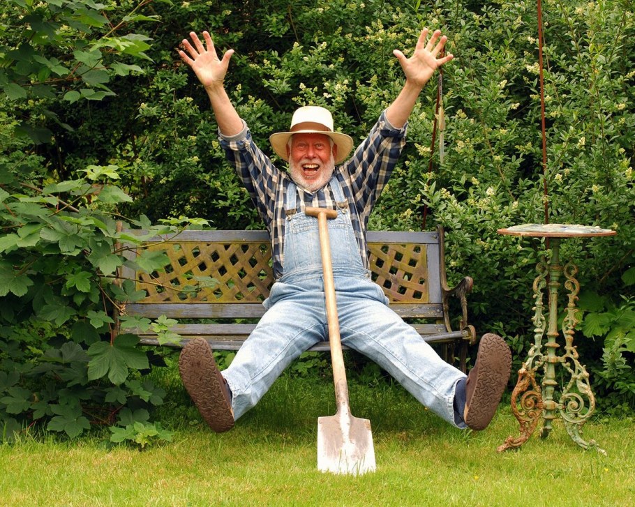 Пенсионеры на даче