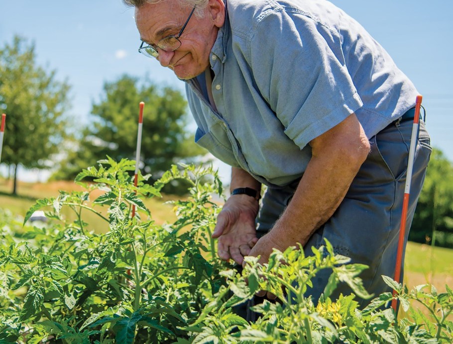 Пенсионеры в саду