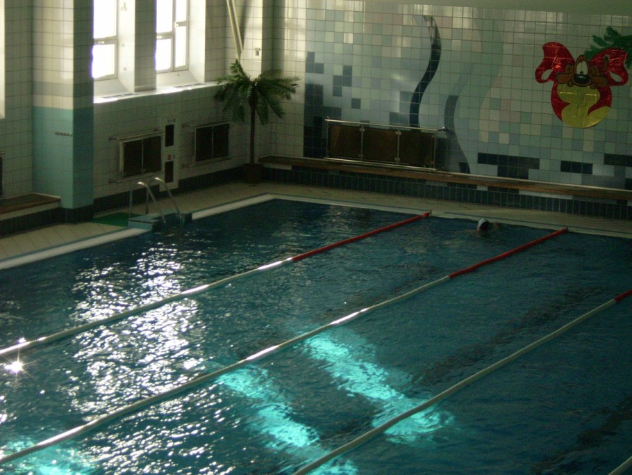 Конкурс пловцов