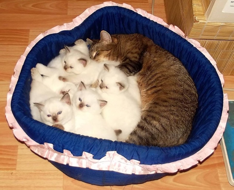 Фотоприкол вторник!