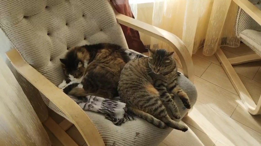 В тесноте, да не в обиде фильм 2015