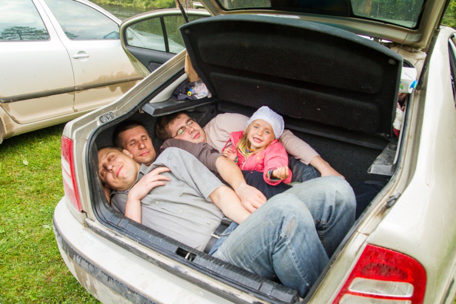 Любопытство животных