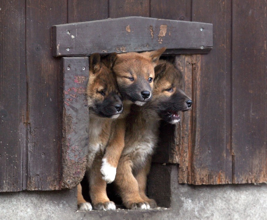 В тесноте, да не в обиде фильм 2015