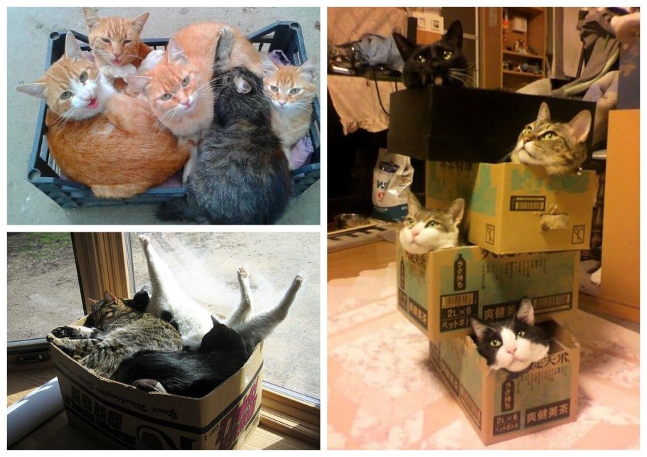 В тесноте да не в обиде фильм