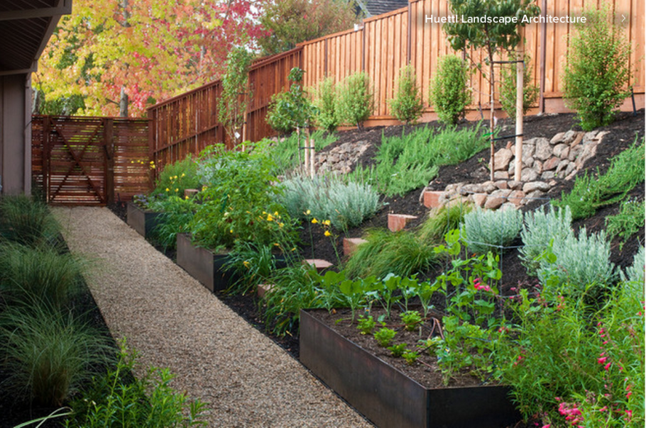 Ландшафтный 3и-Айн