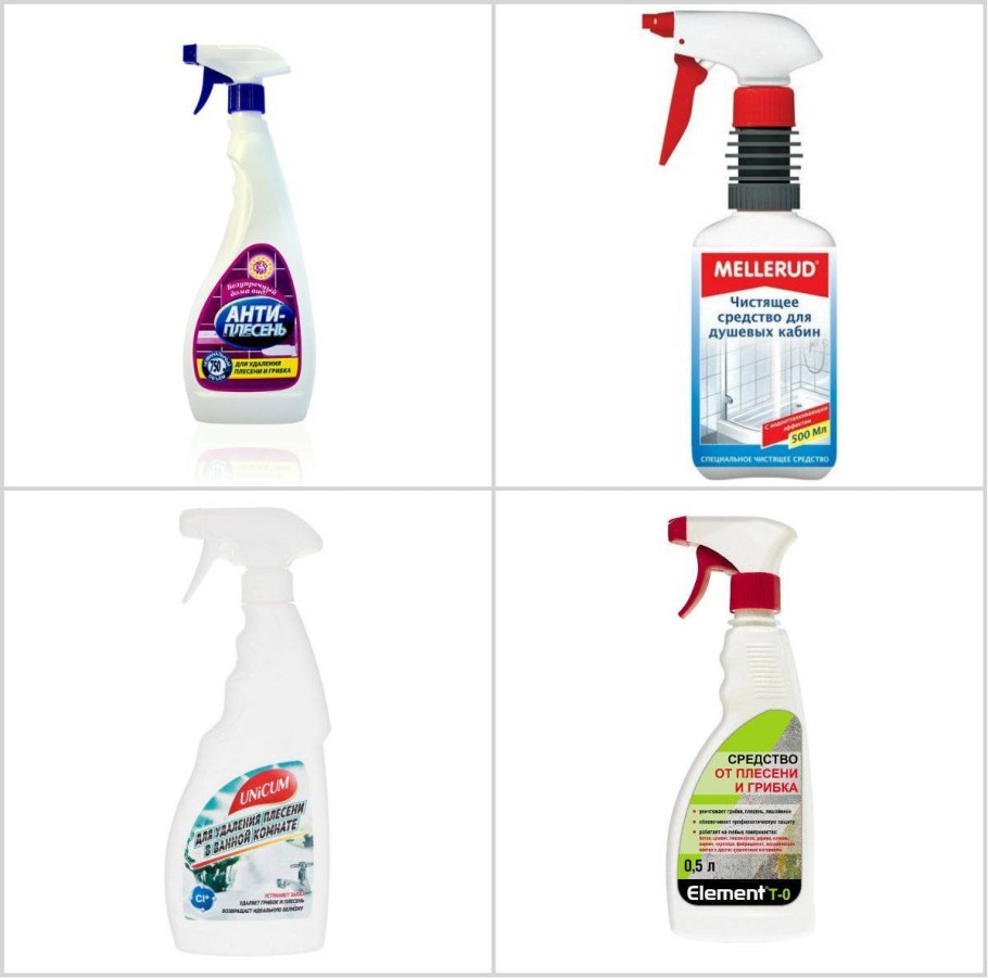 Плесень на ковре