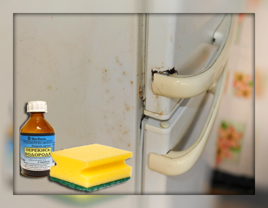 Средство для выведения грибка на стенах