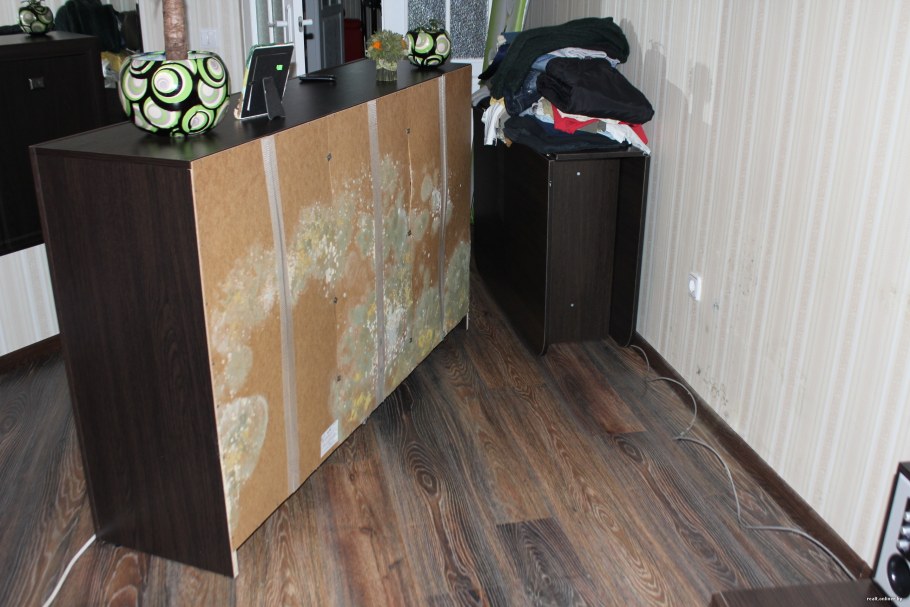 Грибок под линолеумом