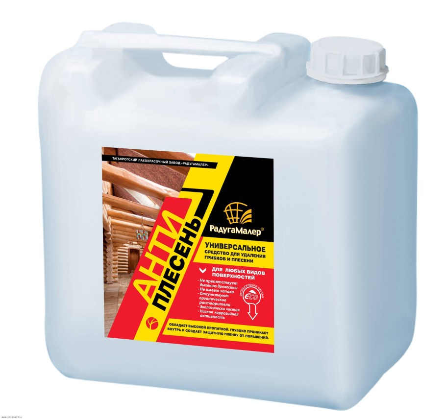 Плесень на стенах