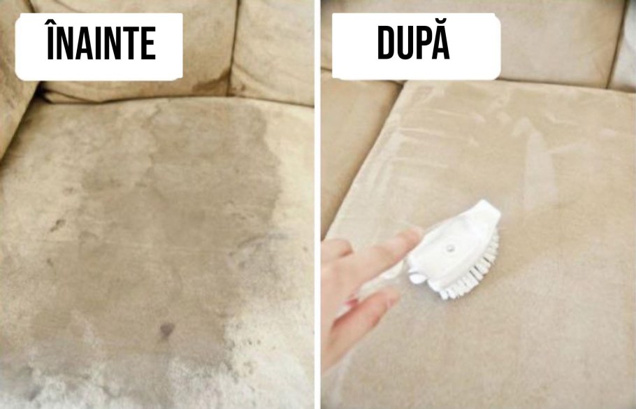 Плесень на древесине