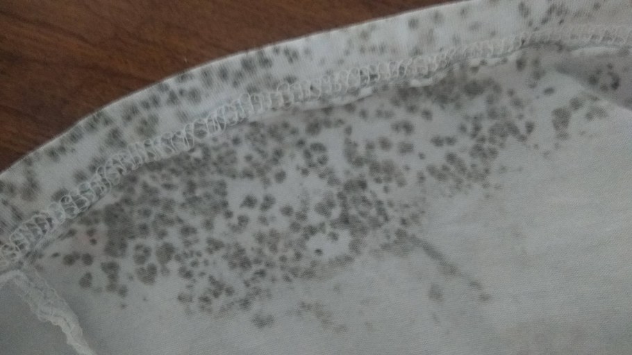 Грибок на стенах от сырости