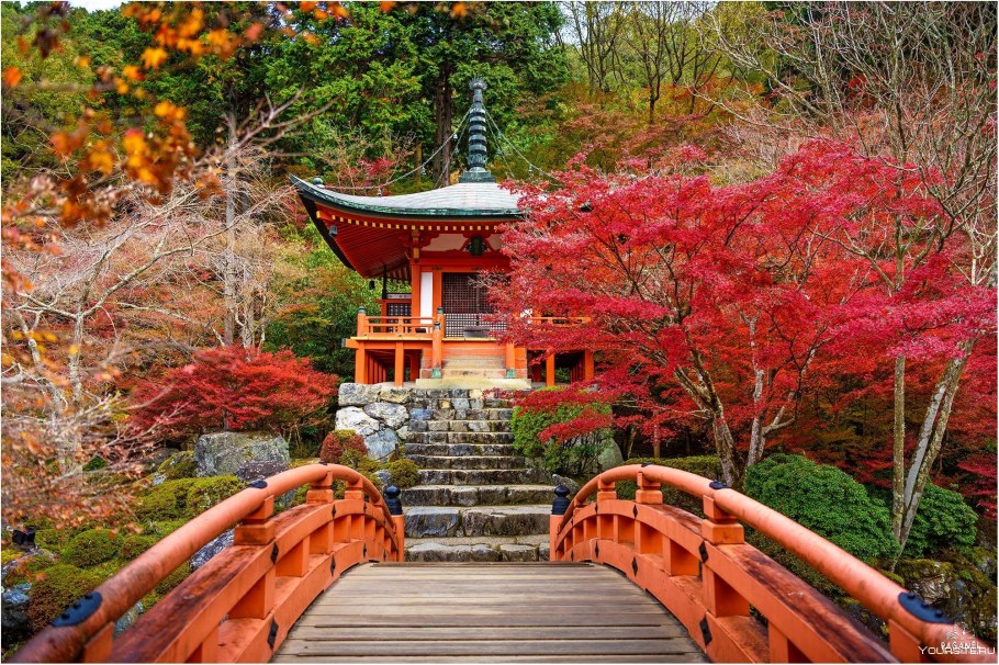 Красные клены в Японии