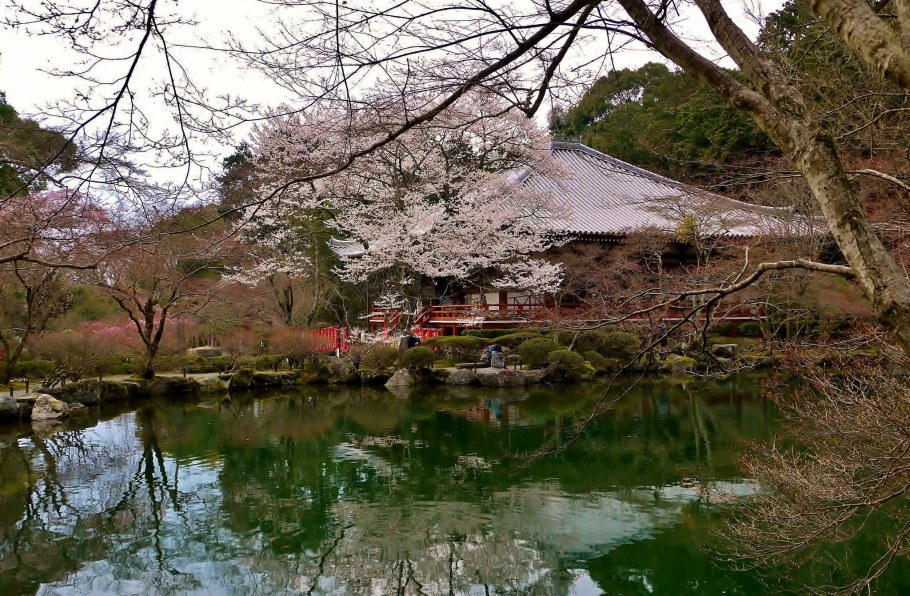 Монреальский Ботанический сад китайский сад