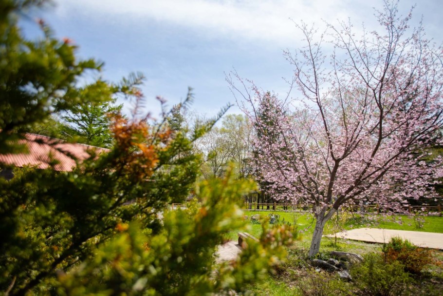Областной краеведческий музей Южно-Сахалинск